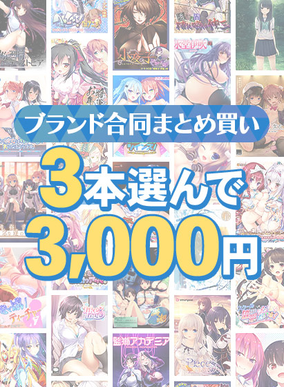 【新着エロゲー】【まとめ買い】1,800作品以上から3本選んで3,000円!冬のブランド合…のトップ画像