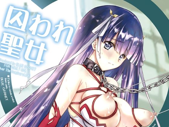 【新着同人誌】囚われ聖女のトップ画像