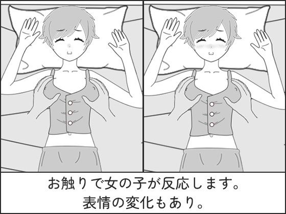 【新着同人ゲーム】睡眠プレイ〜いたずらシミュレーション〜のトップ画像