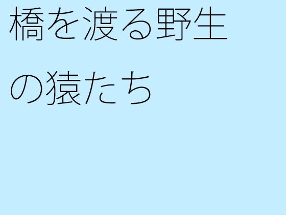 【新着同人誌】橋を渡る野生の猿たちのトップ画像