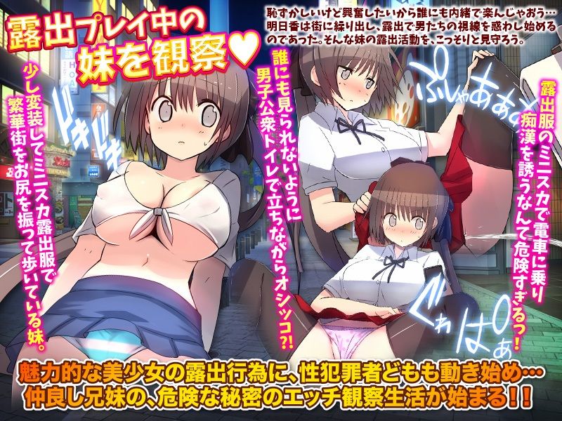 【新着同人ゲーム】よし！妹の露出願望は秘密しておこう（汗）のトップ画像
