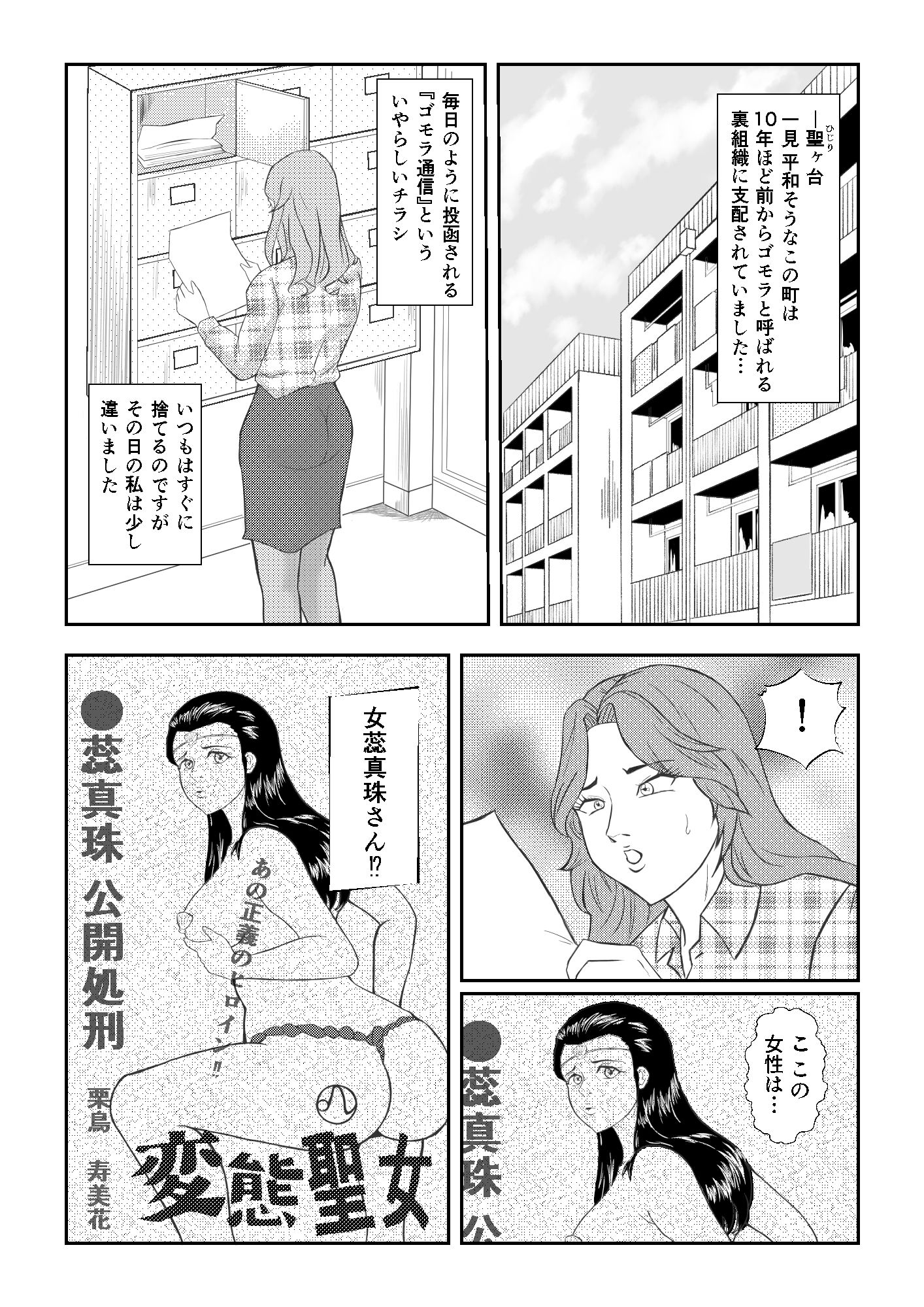 【新着同人誌】聖女仮面 女蕊真珠のトップ画像