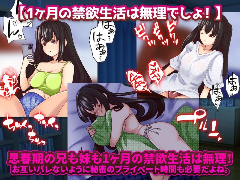 【新着同人ゲーム】妹と1ヶ月の相部屋生活のトップ画像