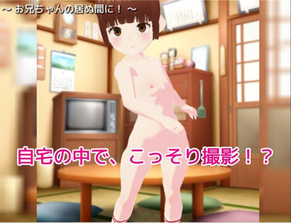 【新着同人ゲーム】バーチャル少女図鑑〜妹の秘密編〜のトップ画像