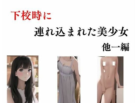 【新着同人誌】下校時に連れ込まれた美少女 他一編のトップ画像