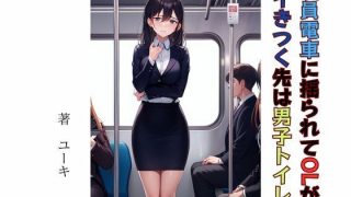 【新着同人誌】満員電車に揺られてOLがイきつく先は男子トイレのトップ画像
