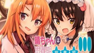 【新着同人誌】晴ちゃんは思春期総集編3のトップ画像