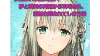 【新着同人誌】夢魔祓いの聖女様が、夢と現実の両面から攻略され、淫紋を刻まれてしまう話のトップ画像