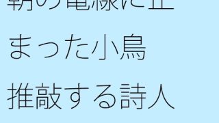 【新着同人誌】【無料】朝の電線に止まった小鳥 推敲する詩人のトップ画像