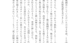 【新着同人誌】バトルブレイズ小説版-俺の英雄-のトップ画像