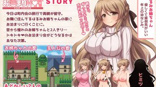 【新着同人ゲーム】幼なじみのお姉ちゃんとお泊まりH Game versionのトップ画像