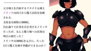 【新着同人ゲーム】え!!3000Gで魔王を!?のトップ画像