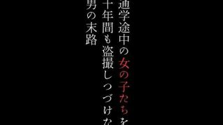 【新着同人誌】通学途中の女の子たちを十年間も盗撮しつづけた男の末路のトップ画像