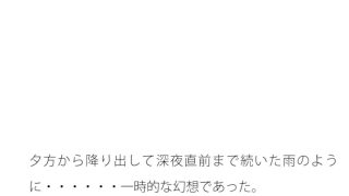 【新着同人誌】換言すると勘違い・・・・・森林の横 怪しげな魔法使いには騙されぬようのトップ画像