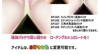 【新着同人ゲーム】シタカラぱんちゅ追加パッチSP185〜188パックのトップ画像