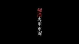 【新着同人誌】痴●専用車両のトップ画像