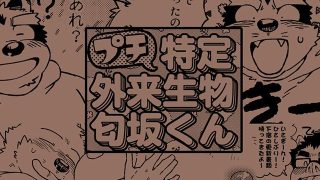 【新着同人誌】ごったに！！のトップ画像