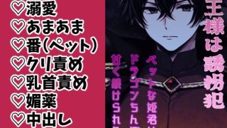 【新着同人誌】魔王様は誘拐犯 〜ペットな姫君はドラゴンち●ぽで甘く躾けられる〜のトップ画像