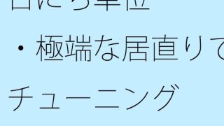 【新着同人誌】日にち単位・・・・極端な居直りでチューニングのトップ画像