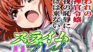 【新着同人誌】スライムリプレイのトップ画像