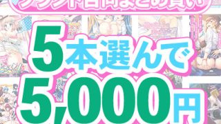 【新着エロゲー】【まとめ買い】1，600作品以上から5本選んで5，000円！感謝祭オータム…のトップ画像