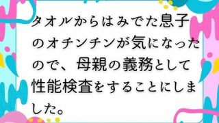 【新着同人誌】タオルからはみでた息子のオチンチンが気になったので、母親の義務として性能検…のトップ画像
