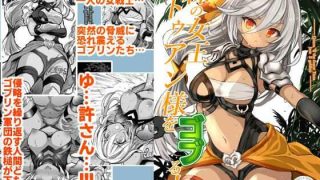 【新着同人誌】森の女王トゥアン様をゴブる本のトップ画像