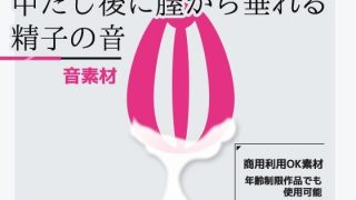 【新着同人ゲーム】効果音素材「中だし後に膣から垂れる精子の音」〜商用OK著作権フリーのトップ画像