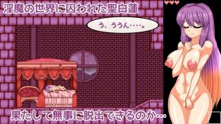 【新着同人ゲーム】聖白蓮と淫魔の魔城のトップ画像