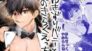 【新着同人誌】ゆきずりバニーとおきらくえっちのトップ画像