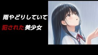 【新着同人誌】雨やどりしていて犯●れた美少女のトップ画像