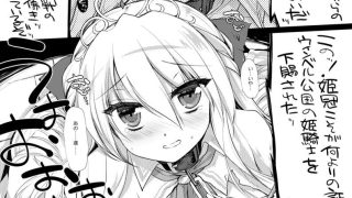 【新着同人誌】姫騎士ちゃん大敗北集 ミヤスリサsideのトップ画像