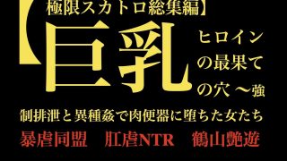 【新着同人誌】【極限スカトロ総集編】巨乳ヒロインの最果ての穴 〜強●排泄と異種姦で肉便器…のトップ画像