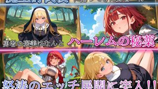 【新着同人ゲーム】勇者ならハーレムが当然でしょ！〜仲間が可愛くて、我慢が出来ませんでした！〜のトップ画像