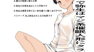 【新着同人誌】弥生ちゃんで遊ぼう！〜常識改変マゾ化計画〜のトップ画像