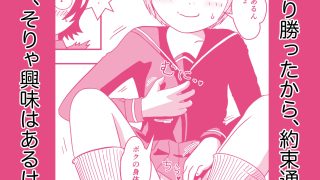 【新着同人誌】幼馴染のボクっ娘とのトップ画像