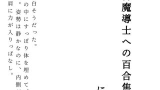 【新着同人誌】飛行船内、堅物魔導士への百合焦らしのトップ画像