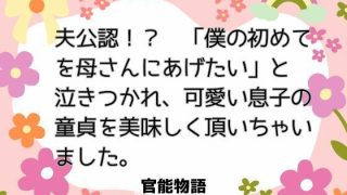 【新着同人誌】夫公認！？  「僕の初めてを母さんにあげたい」と泣きつかれ、可愛い息子の童…のトップ画像