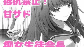 【新着同人誌】美少女生徒会長の甘サド痴女攻めのトップ画像