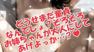 【新着同人ゲーム】お姉ちゃんと僕のお泊まり体験談！のトップ画像