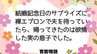 【新着同人誌】結婚記念日のサプライズに裸エプロンで夫を待っていたら、帰ってきたのは欲情し…のトップ画像