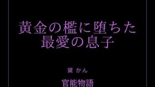 【新着同人誌】黄金の檻に堕ちた最愛の息子のトップ画像