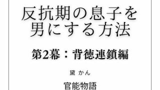 【新着同人誌】反抗期の息子を男にする方法 第2幕:背徳連鎖編のトップ画像