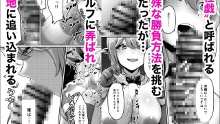 【新着同人誌】決闘！バニーエルフのトップ画像