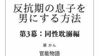 【新着同人誌】反抗期の息子を男にする方法 第3幕:同性耽溺編のトップ画像