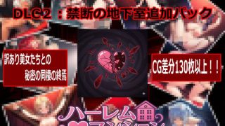 【新着同人ゲーム】ハーレム（はーと）マンション  DLC2:禁断の地下室追加パックのトップ画像