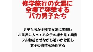 【新着同人誌】修学旅行の女湯に全裸で突撃するバカ男子たちのトップ画像