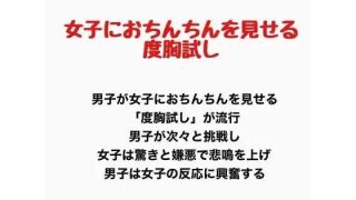 【新着同人誌】女子におちんちんを見せる度胸試しのトップ画像