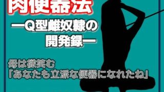 【新着同人誌】肉便器法 —Q型雌奴●の開発録—のトップ画像