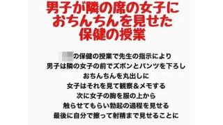 【新着同人誌】男子が隣の席の女子におちんちんを見せた保健の授業のトップ画像
